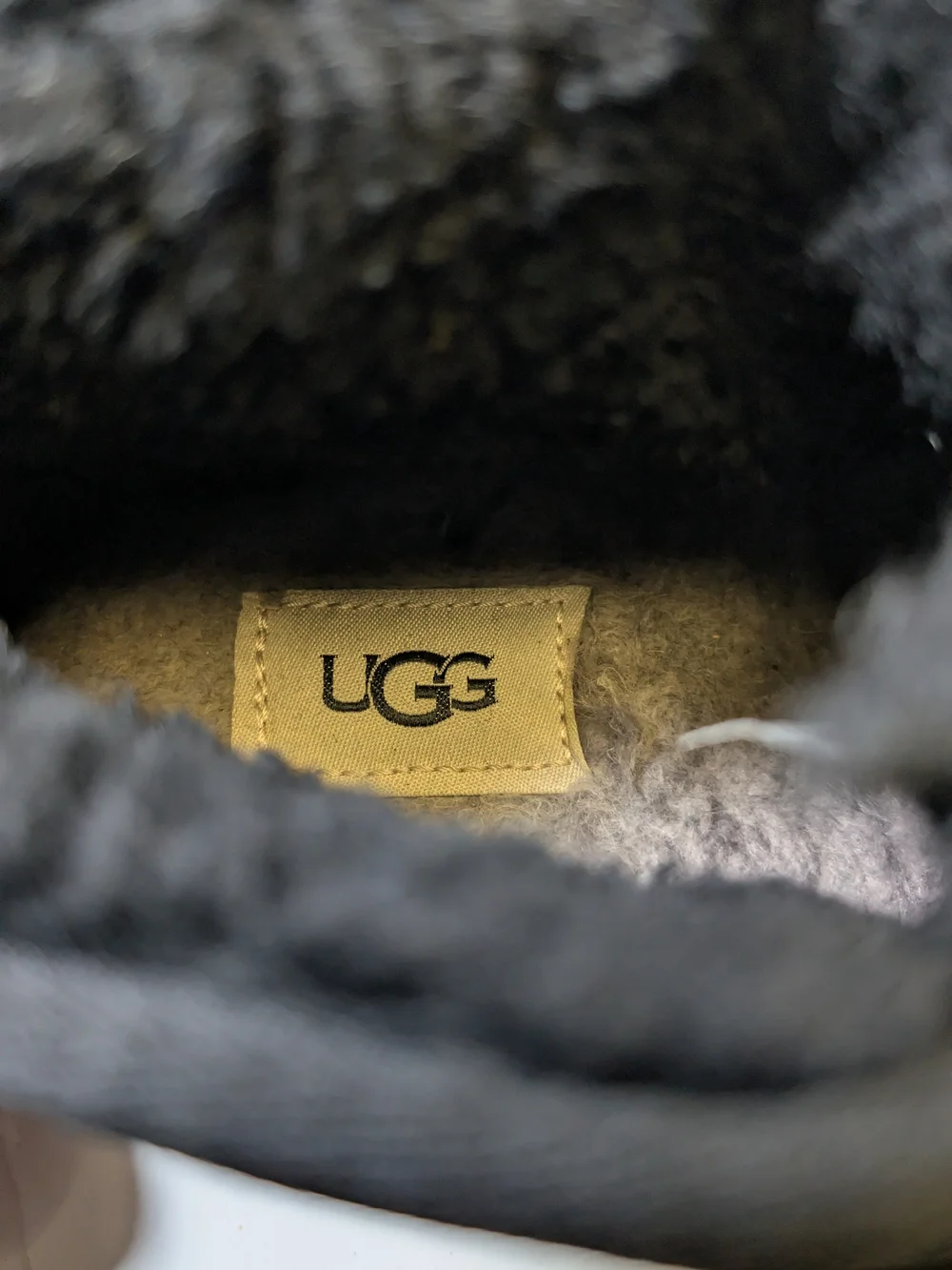 UGG classic chukka